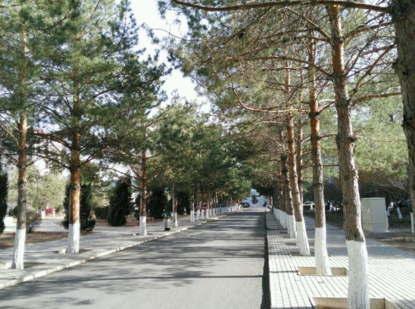 内蒙古民族大学