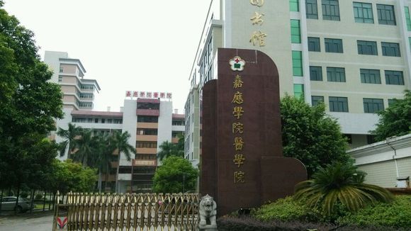 嘉应学院医学院2019年有哪些专业