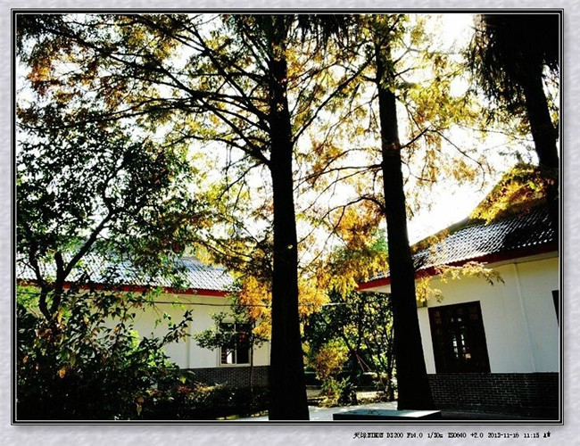 四川省档案学校图片、照片