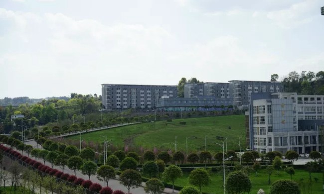 四川省宜宾卫生学校绿意盎然的校园
