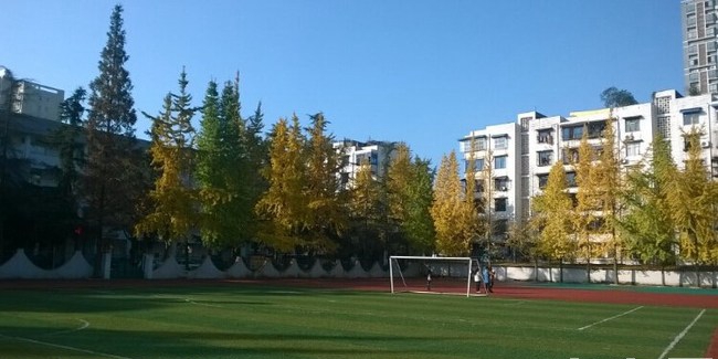 成都技师学院南校区（崇州技师学院）蜀州路校区足球场