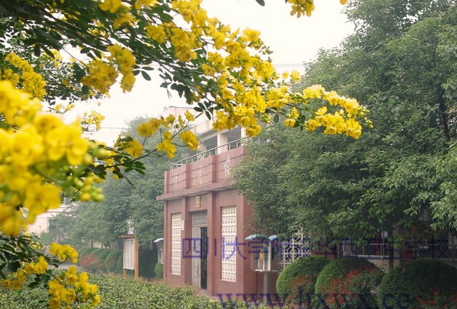 四川大学附设华西卫生学校（成都华西卫校）办公楼一隅