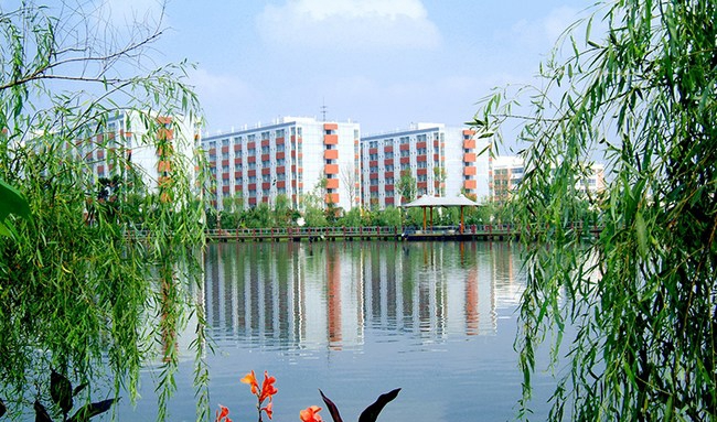 四川城市技师学院（四川城市职业学院）远看学生公寓楼