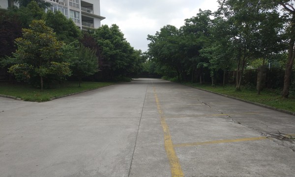 乐山市医药科技学校龙泉：校园道路