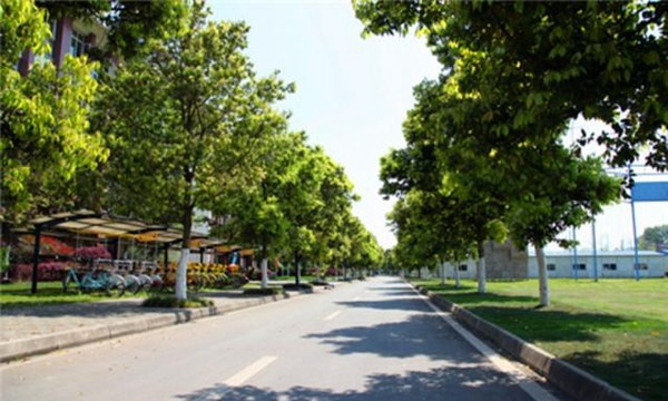 四川省旅游学校校园景区道路与游览车