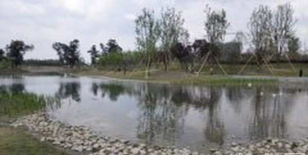 成都天府职业技术学校公园