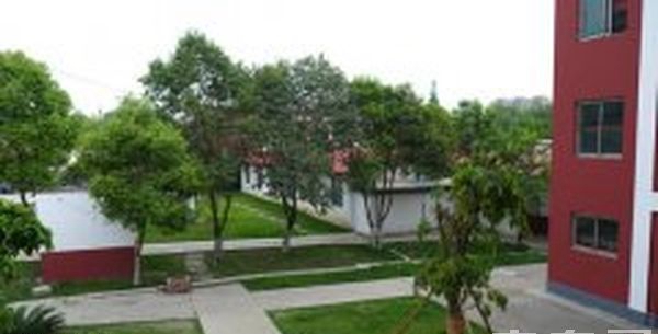 成都天府职业技术学校校园绿化