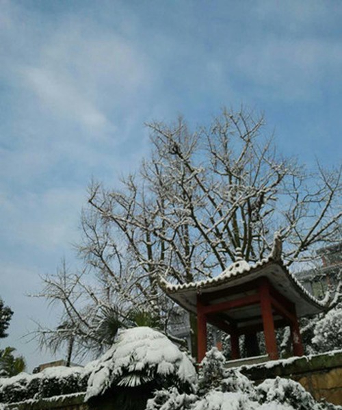 四川省盐业学校校园雪景