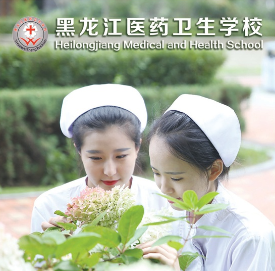 黑龙江医药卫生学校