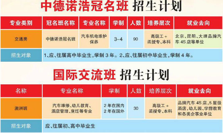 大理技师学院中德、国际班