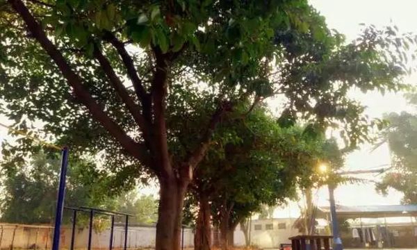 个旧市特格瓦阿拉伯语职业中学校园风景