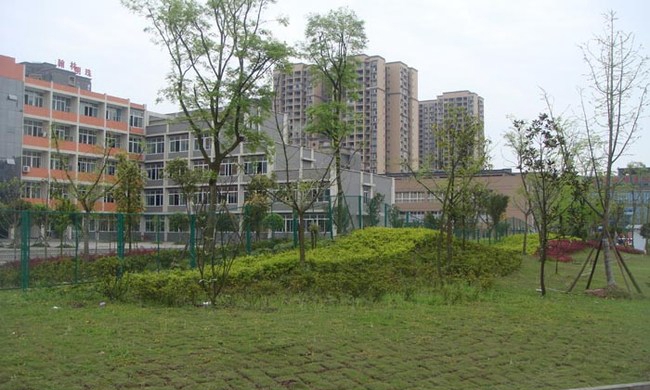 富顺职业技术学校环境：绿化带