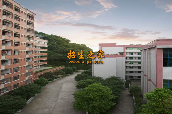 重庆市南丁卫生职业学校学校