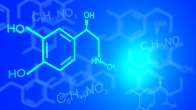 武汉大学医学院2024年录取分数线