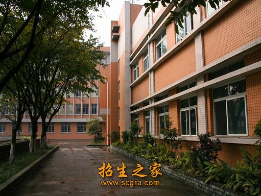 学校 风景