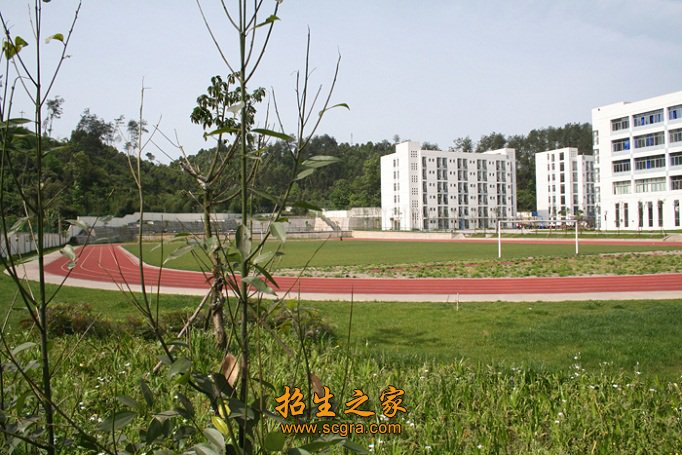 学校操场