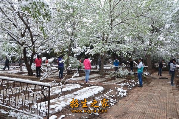 校园雪景